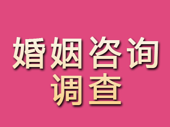 锡林郭勒婚姻咨询调查