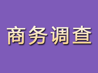 锡林郭勒商务调查